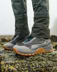 Coastal Wader