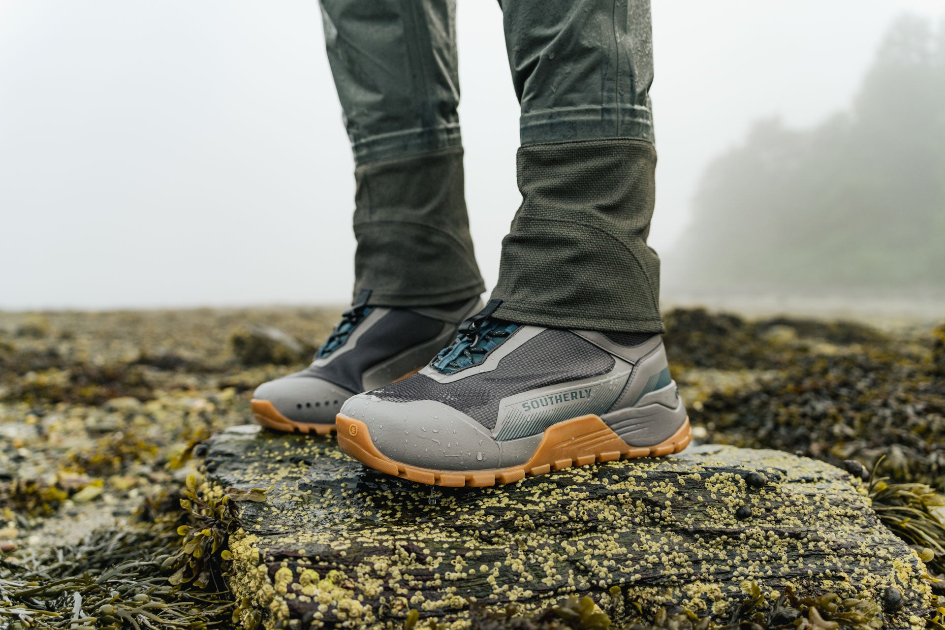 Coastal Wader
